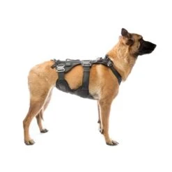 Eagle Industries - Taktisk Hundevest Ranger Green